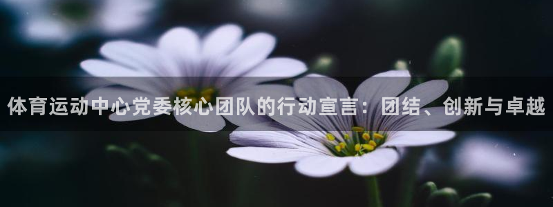 betway西汉姆联