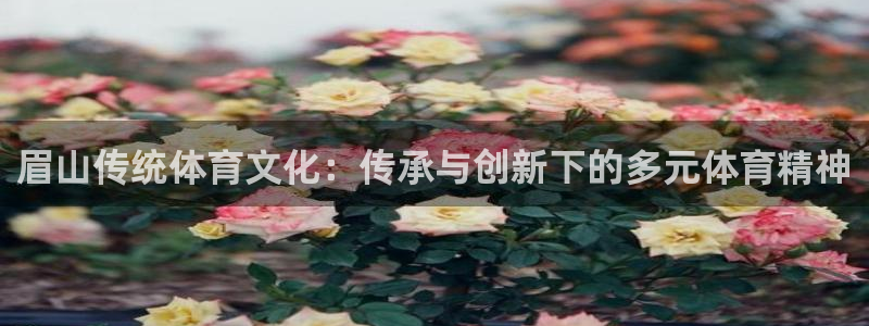 必威betway西汉姆联
