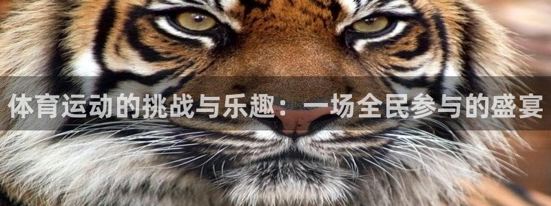 betway西汉姆联
