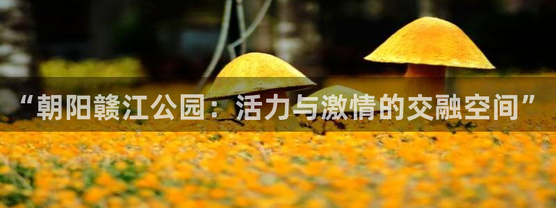 必威betway西汉姆联