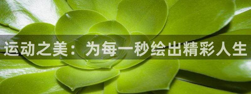 必威betway西汉姆联